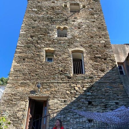 Pino Torra Di Ciocce B&B 외부 사진