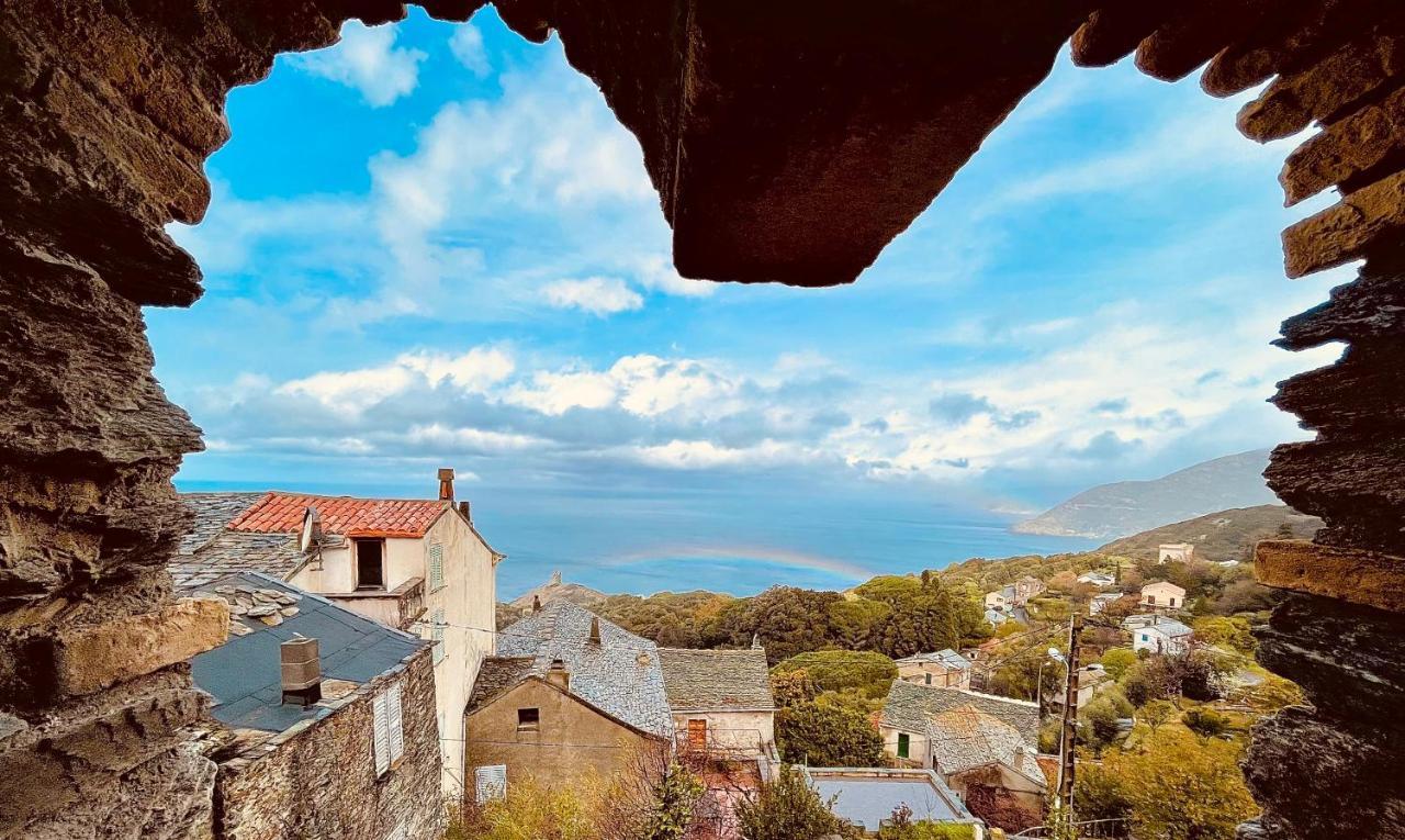 Pino Torra Di Ciocce B&B 외부 사진